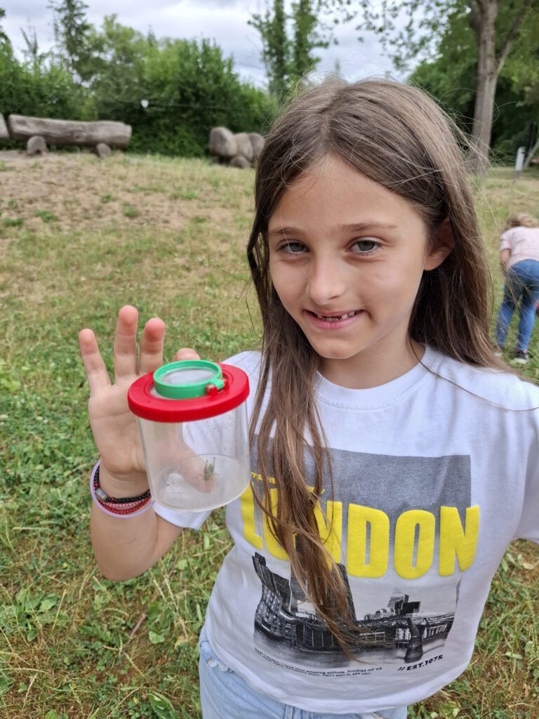 Entdeckertour auf die Wiese