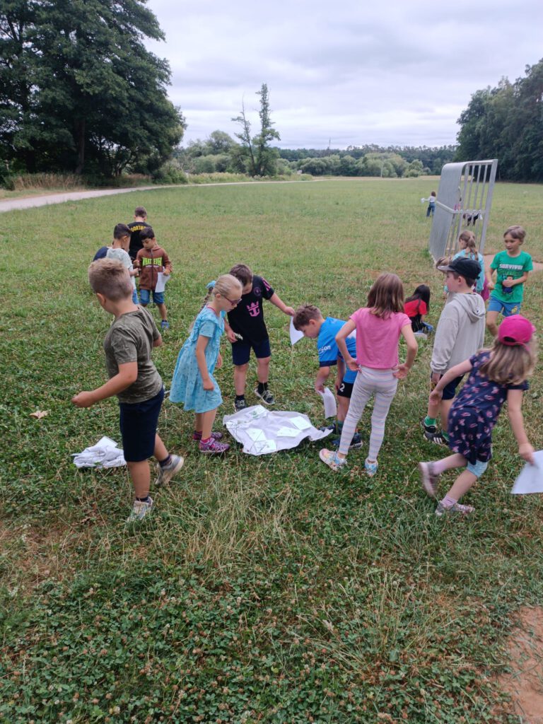 Entdeckertour auf die Wiese