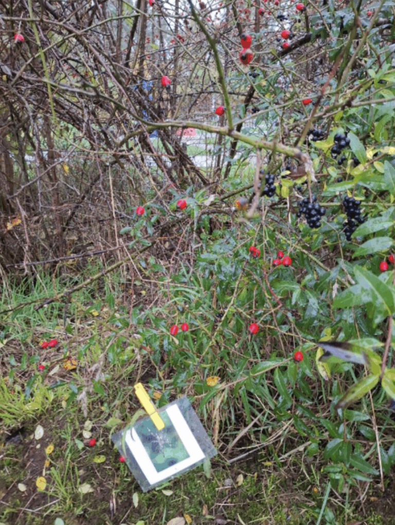 Grundschule Rednitzhembach - zur Hecke