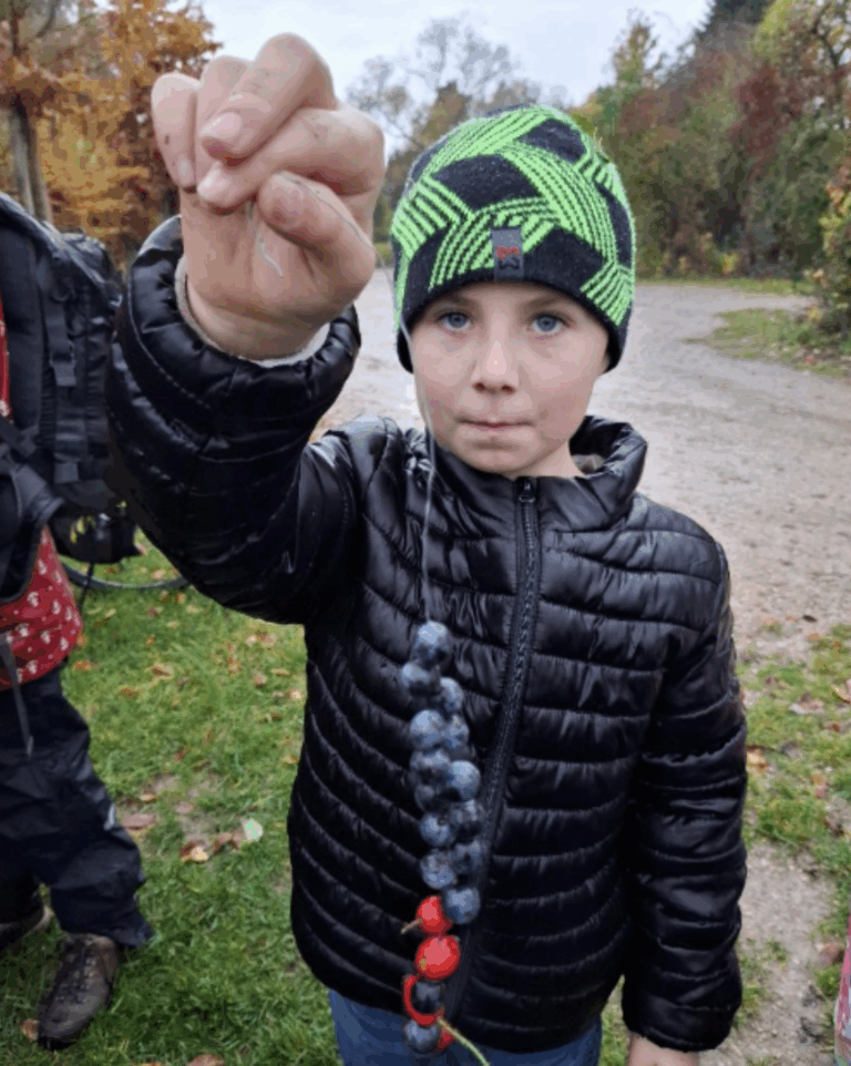 Grundschule Rednitzhembach - zur Hecke
